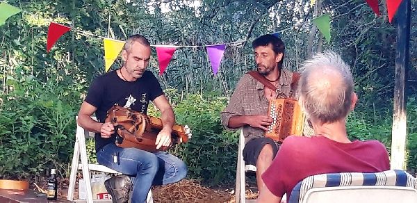 avondconcert op vleugelwaard klein